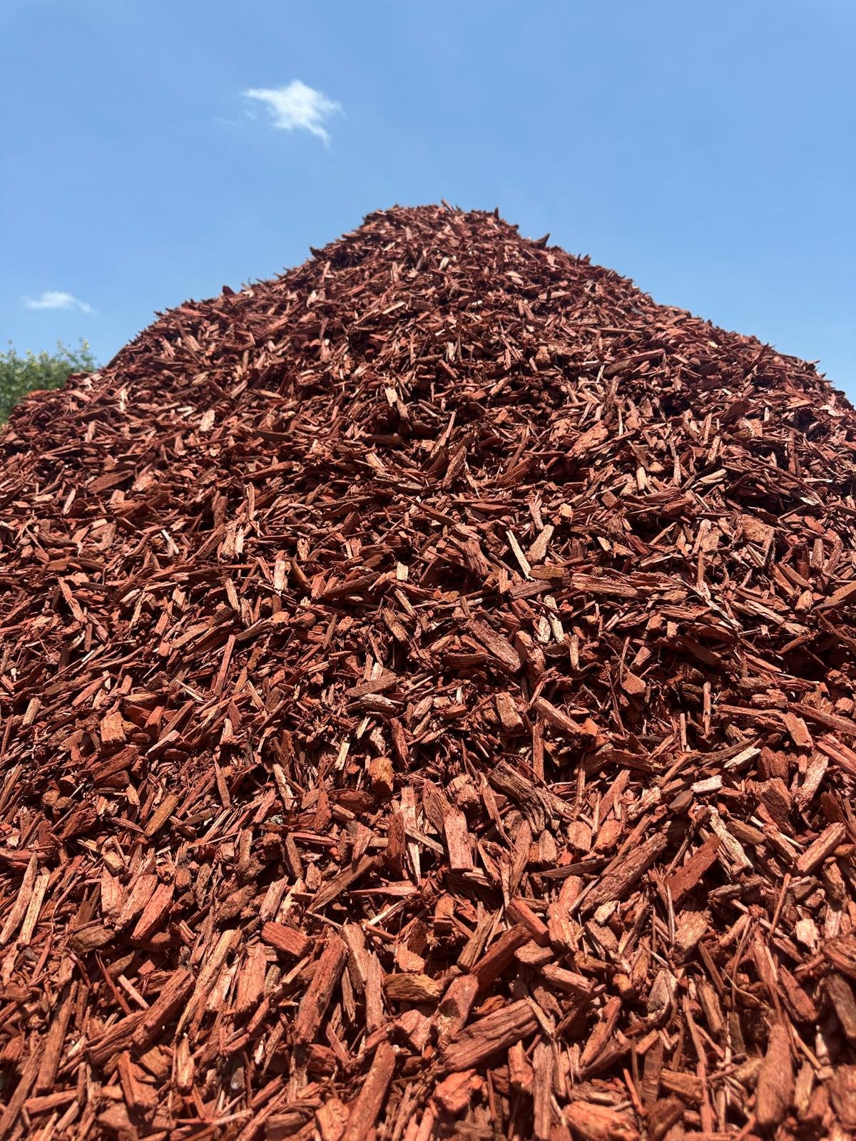Red Mulch